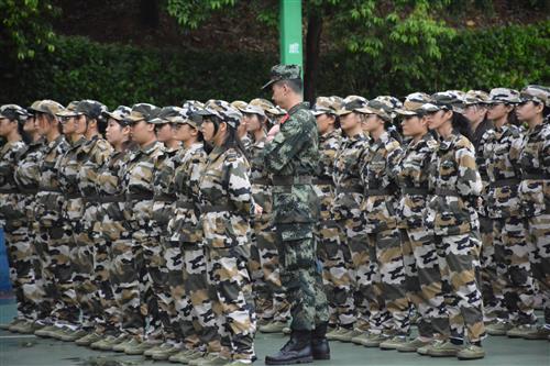 说明: IMG_0381_WPS图片